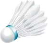 badminton-shuttlecock